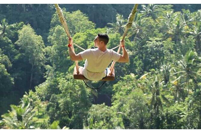 Ubud Natural Scenery with Swing - In-Depth Look at the Ubud Natural Scenery Tour