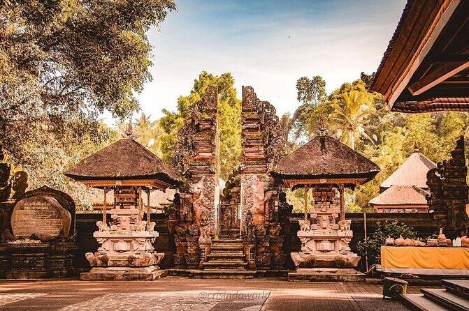 Ubud Private Tour - Who Is This Tour Best For?