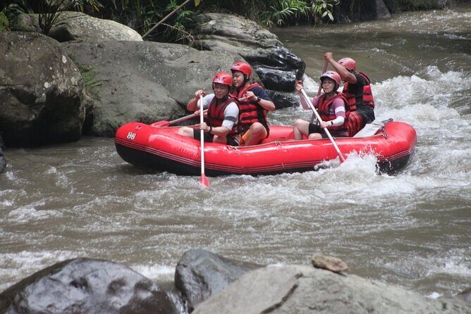 Ubud Rafting (Include Lunch and Return Transportation) - Authentic Experiences and Authentic Feedback