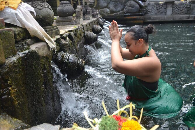Ubud Rice Terrace Swing Waterfall Private Guided Tour - A Deep Dive into the Ubud Rice Terrace Swing Waterfall Tour