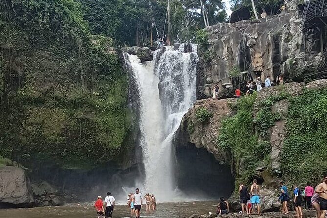 Ubud Rice Terrace Swing Waterfall Private Guided Tour - Who Should Choose This Tour?