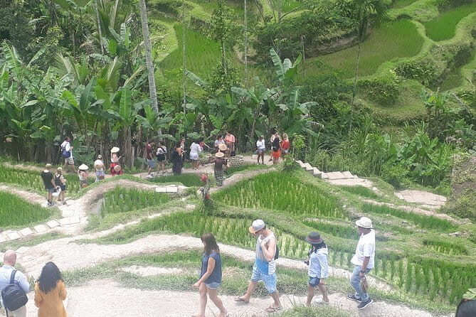 Ubud Romantic Floating Lunch Jungle Swing and Waterfall - A Closer Look at the Itinerary and What to Expect
