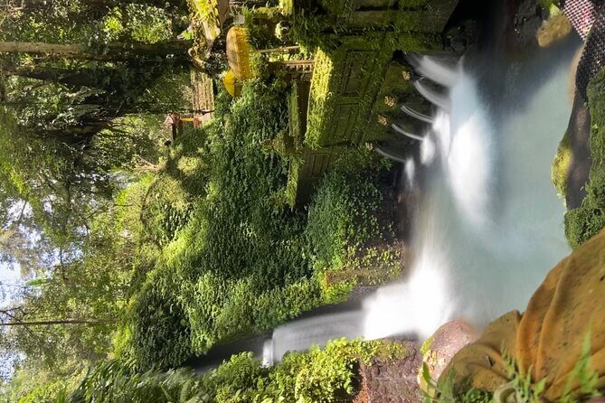 Ubud Shamanic Healing and Purification Ceremony - The Itinerary: A Closer Look