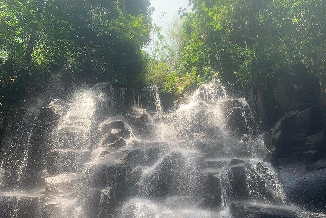 Ubud Shared Tour: Ubud Waterfalls, Tegalalang & Holy Water Temple - A Detailed Look at the Itinerary