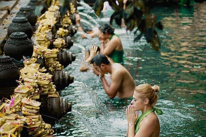 Ubud Shared Tour: Ubud Waterfalls, Tegalalang & Holy Water Temple - Who Should Consider This Tour?