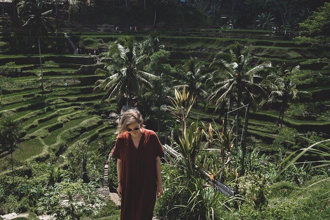 Ubud Shared Tour: Ubud Waterfalls, Tegalalang & Holy Water Temple - The Sum Up