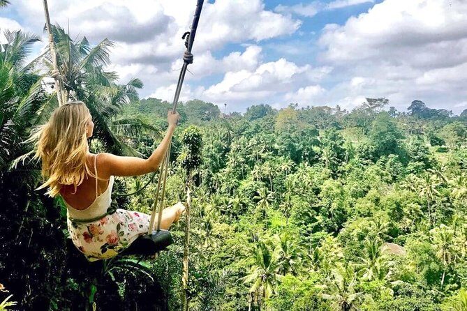 Ubud Sightseeing, Holy Water Temple & Waterfall - Analyzing the Itinerary: What to Expect From Each Stop