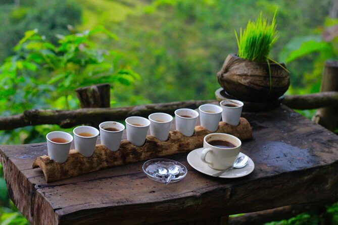 Ubud Sightseeing, Holy Water Temple & Waterfall - Who Is This Tour Best For?