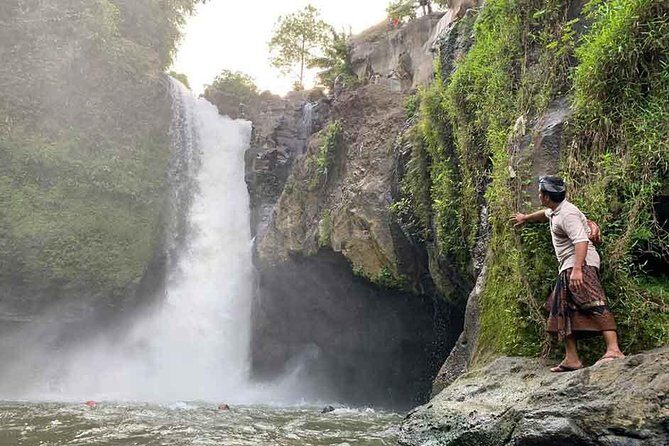 Ubud Sightseeing Private Tour - Instagramable Spot and More - Whats Included and What Not