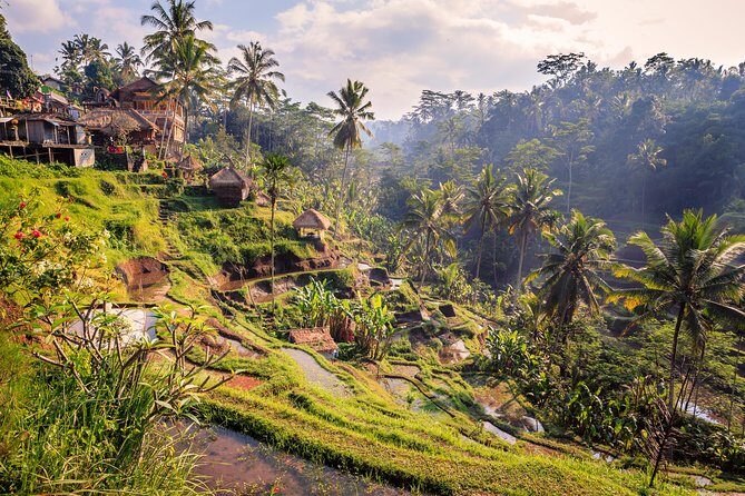 Ubud Small Group Tour: Monkey Forest, Tegalalang Rice Terraces and more - Tirta Empul Temple: Spiritual Touch
