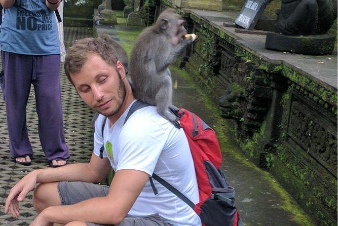 Ubud Small Group Tour: Monkey Forest, Tegalalang Rice Terraces and more - What the Tour Might Not Cover