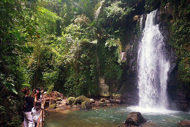 UBUD Spring Temple, Waterfall, Rice Terraces Private Tour - A Closer Look at the Itinerary