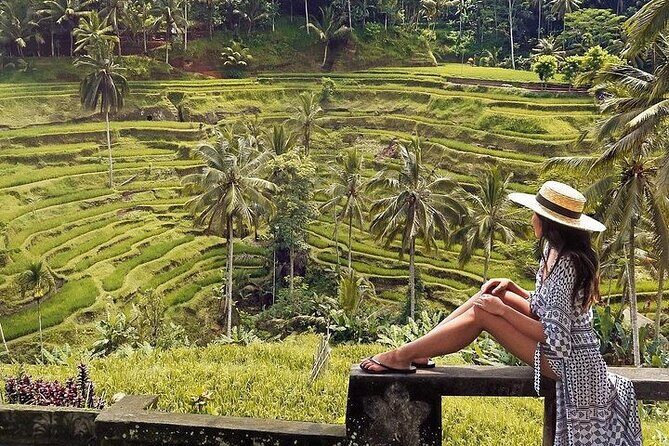 Ubud: Swing - Monkey Forest - Waterfall - Temple - Rice Terraces - Art Crafts - Who Will Love This Tour?