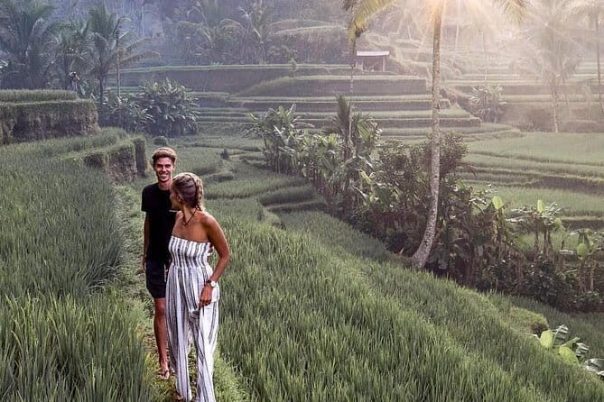 Ubud Swing, Rice Terrace and Waterfall Highlights Tour - Ubud Swing, Rice Terrace and Waterfall Highlights Tour: A Detailed Review