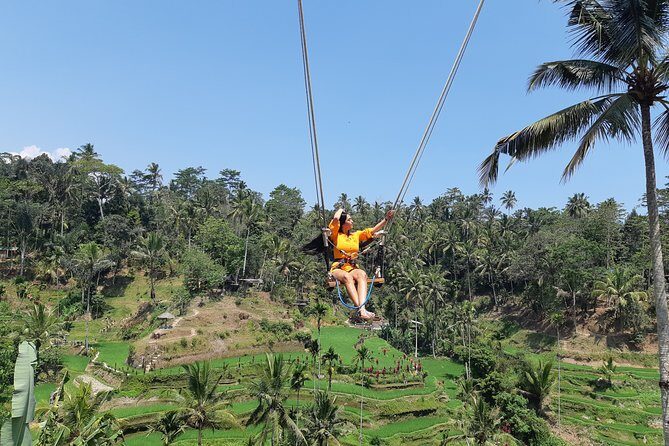 Ubud Swing, Water Temple and Waterfall Tour - Practical Details and What to Expect