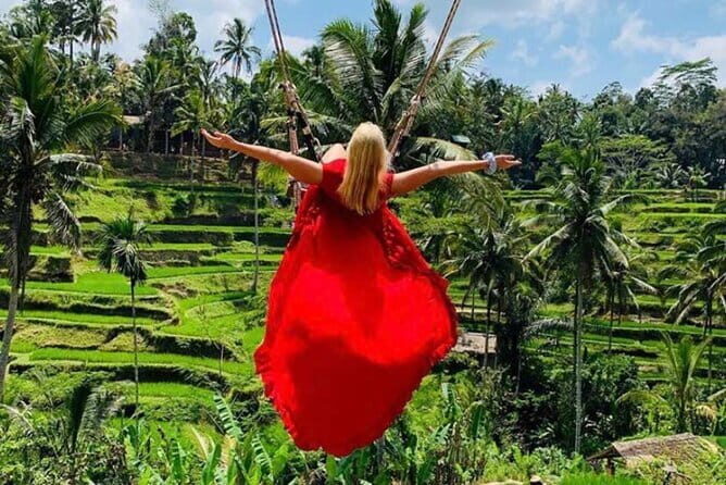 Ubud Tirta Empul Temple with Rice Terrace and Bali Jungle Swing - The Journey Through Bali: What to Expect from Each Stop