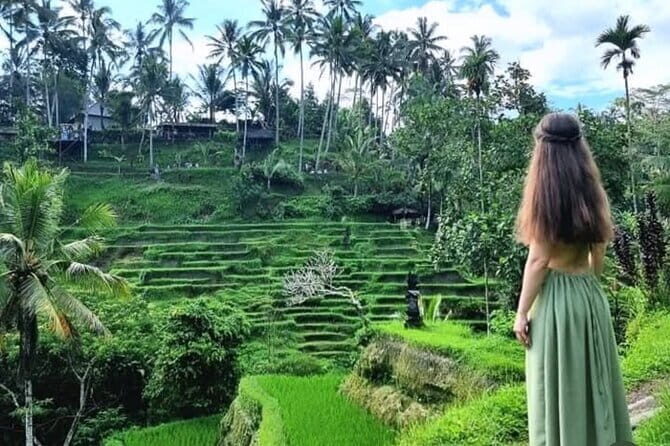 Ubud Tirta Empul Temple with Rice Terrace and Bali Jungle Swing - Why Choose This Tour?