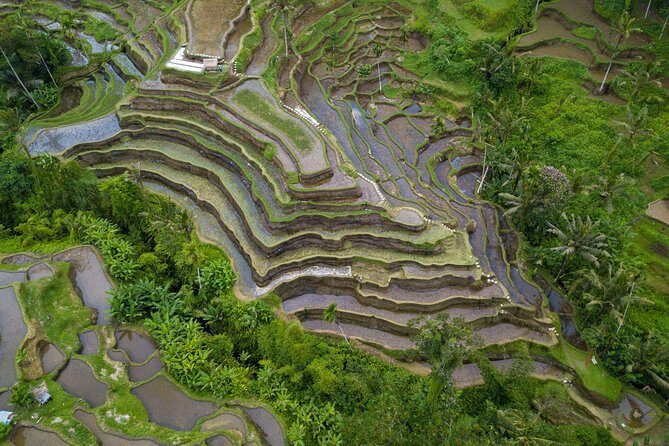 Ubud Top Attractions: Waterfalls, Temples and Rice Terraces - Final Thoughts: Who Should Book This Tour?