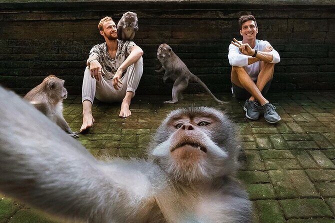 Ubud Tour-All Inclusive with Jungle Swing And Lunch - Practical Details & What to Expect