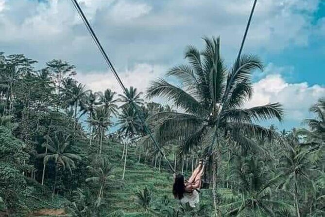Ubud Tour - Best of Ubud - All Inclusive - Authentic Insights from Reviews