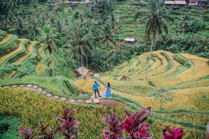 Ubud Tour - Best of Ubud - All Inclusive - Exploring the Ubud Highlights