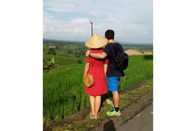Ubud Tour Monkey Forest, Rice Terrace, Swing, Temple, Waterfall - Exploring the Ubud Tour Step-by-Step