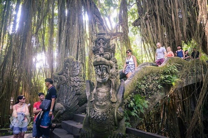 Ubud Tour: Monkey Forest, Rice Terrace, Waterfall, Water Temple - The Detailed Breakdown of the Ubud Tour