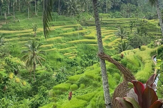 Ubud Tour - Ubud Highlight Culture, Tradition, Nature - A Closer Look at the Itinerary: What to Expect from Each Stop