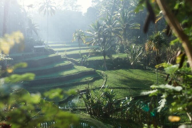 Ubud Tour Water Temple with Jungle Swing - Exploring the Detailed Itinerary