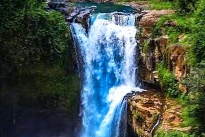 Ubud Tour with all includes - An In-Depth Look at the Ubud Tour