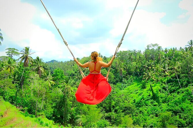 Ubud Tour with Jungle Swing and Waterfall Water Temple - An Overview of the Ubud Experience