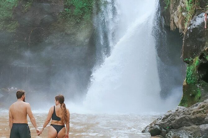 Ubud Tour with Jungle Swing and Waterfall Water Temple - What to Expect in Terms of Comfort and Convenience
