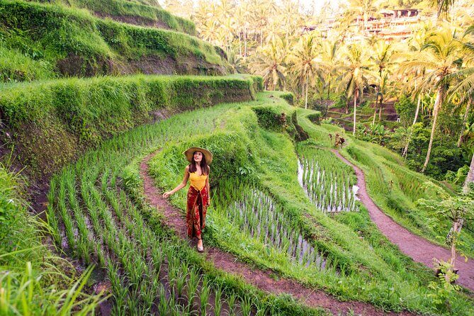 Ubud Tour with Swing, Temple, Monkey Forest, and Waterfall - What the Reviews Say
