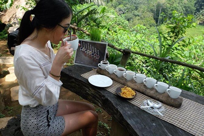 Ubud Tour with Swing, Temple, Monkey Forest, and Waterfall - The Sum Up