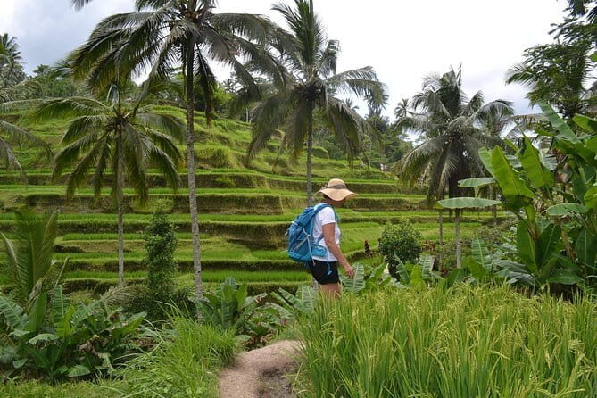Ubud Traditional Tours - Setting the Scene: What to Expect During the Day