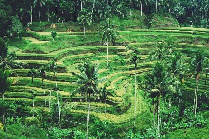 Ubud Trip, The Best of Ubud in a day - All Inclusive - Artisans at Work: Celuk Village