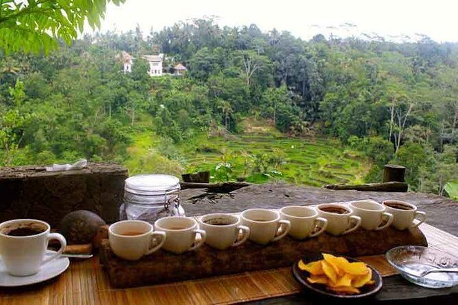 Ubud Trip, The Best of Ubud in a day - All Inclusive - The Practicalities