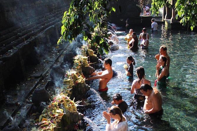 Ubud Trip, The Best of Ubud in a day - All Inclusive - What Reviewers Say