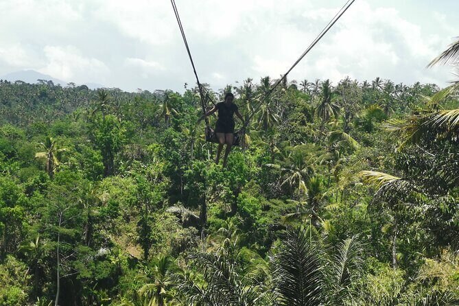 Ubud Village, Tegalalang Rice Terrace Swing, Tirta Empul Temple and Waterfafall - Who is This Tour Best For?