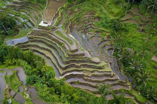 Ubud Volcano Lake and Natural Hot Spring Tour - Final Thoughts: Is This Tour Worth It?