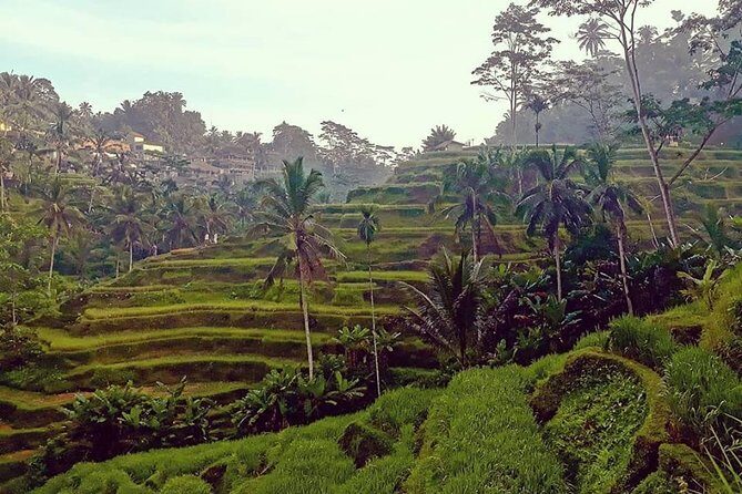Ubud Volcano & Swing Highlights - The Sum Up