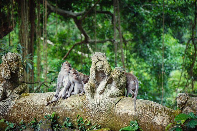 Ubud: Waterfall, Rice Terraces, and Monkey Forest Private Tour - Who Will Love This Experience
