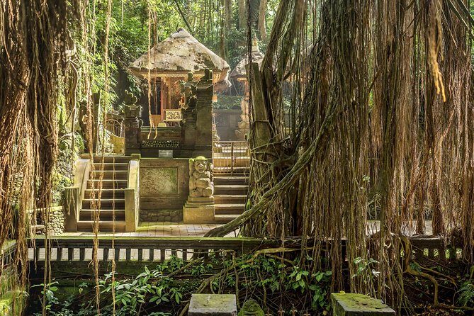 Ubud: Waterfall, Rice Terraces, and Monkey Forest Private Tour - FAQs