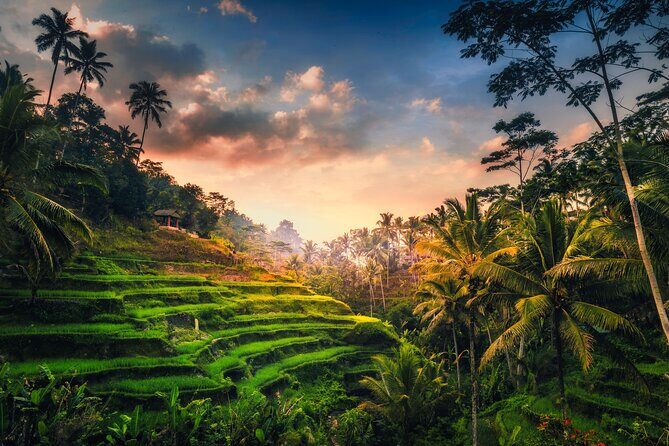 Ubud waterfall, rice terraces, and swing explore - The Itinerary Breakdown: What You Can Expect