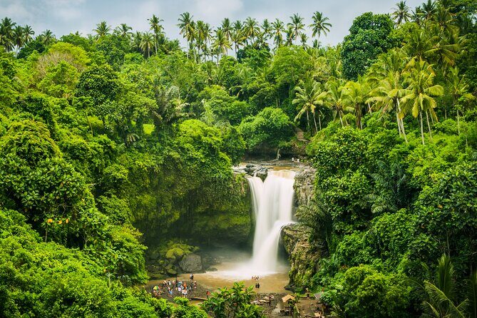Ubud waterfall, rice terraces, and swing explore - Final Thoughts: Is This Tour Worth It?
