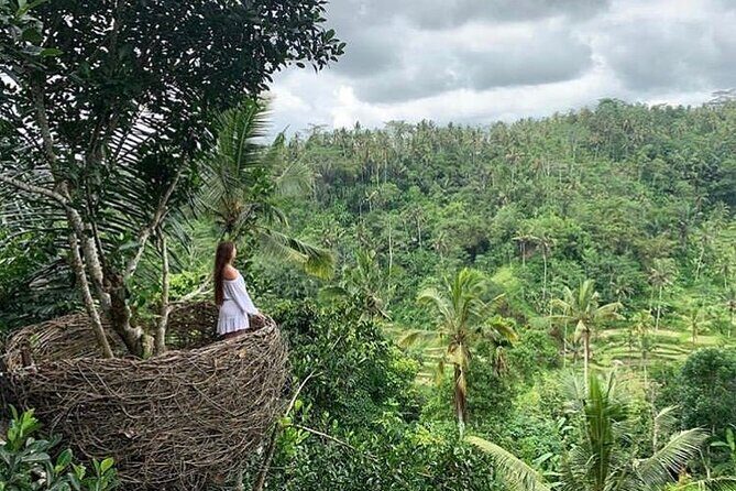 Ubud waterfall, rice terraces, and swing explore - FAQ