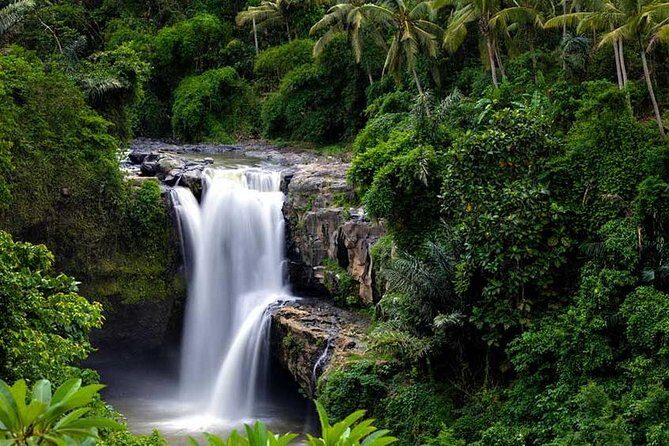 Ubud Waterfall Tour - Final thoughts