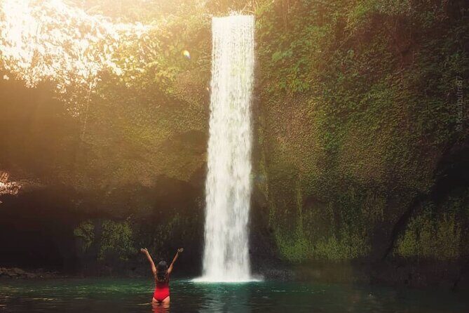 Ubud Waterfalls, Temple and Rice Terrace - Private Tour - A Deep Dive into the Ubud Waterfalls, Temple, and Rice Terrace Tour