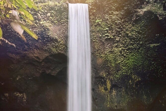 Ubud Waterfalls, Water Temple and Rice Terrace - Private Tour - Who Would This Tour Suit Best?