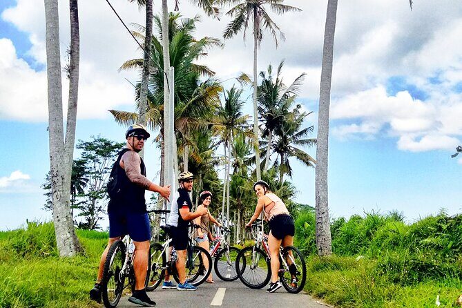 Ubud Wonderful Afternoon Downhill Cycling Tour - Who Will Love This Tour?